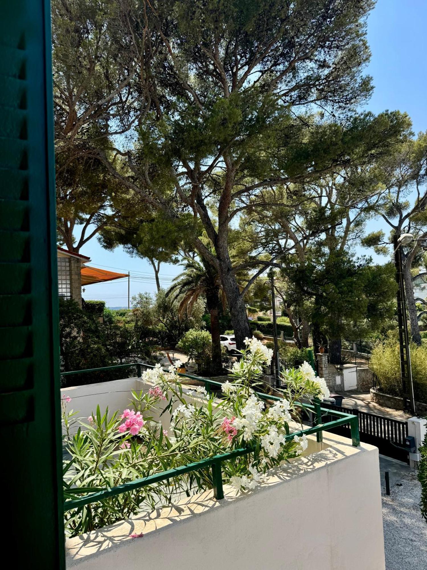 Cocon Comfortable Vue Mer, Clim Et Parking Sanary-sur-Mer Exterior photo